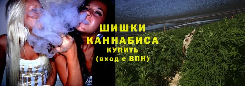 Конопля OG Kush  Унеча 